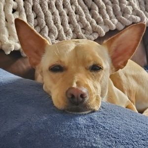 Meet your Posher, Christine